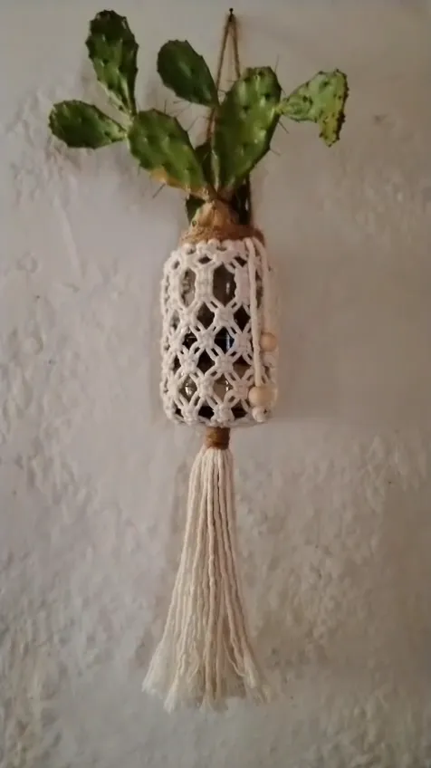 Video de frascos vestidos con macramé para plantas